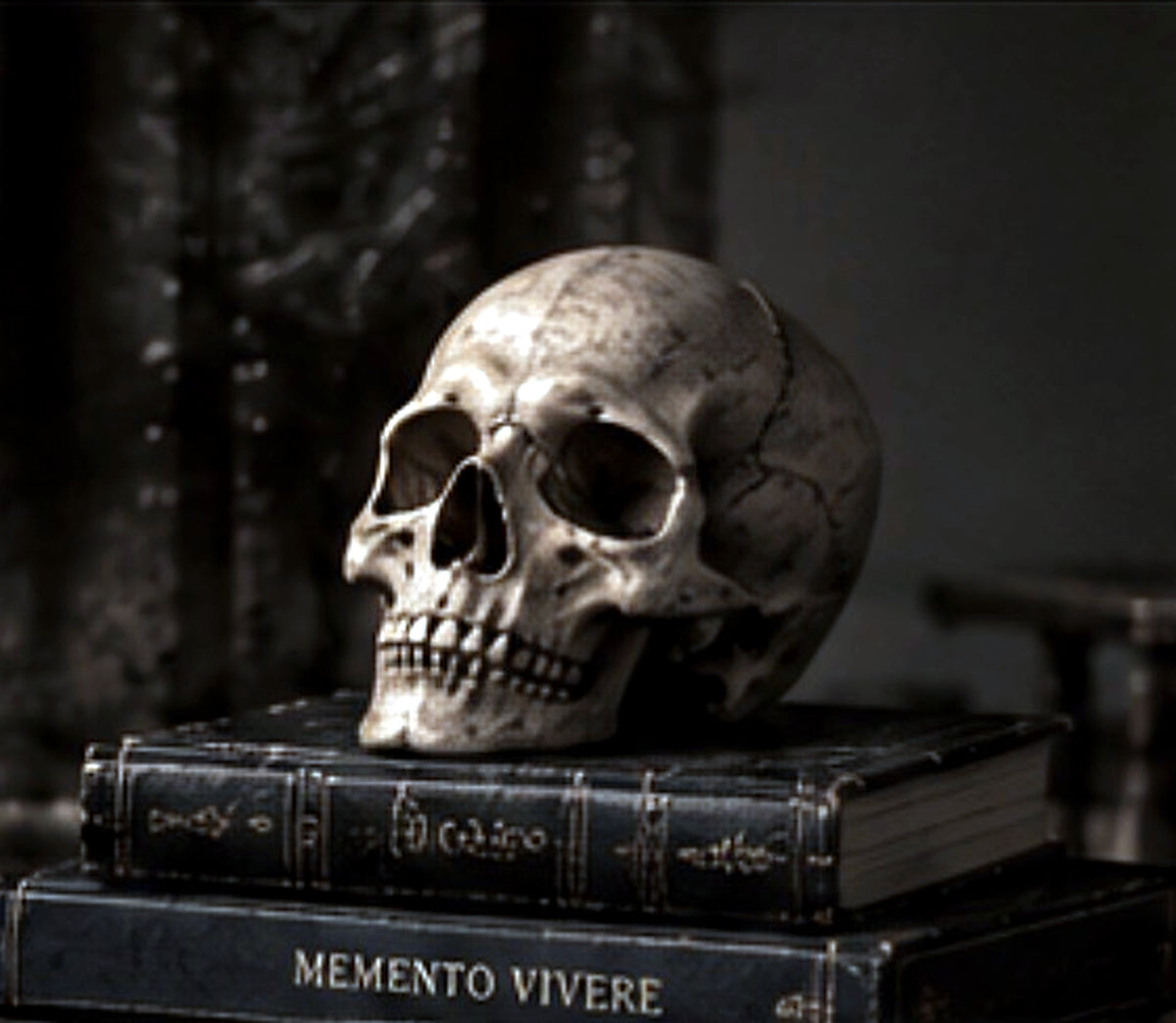 BARE BONES heavyweight sweatshirt editorial skull still life premium streetwear